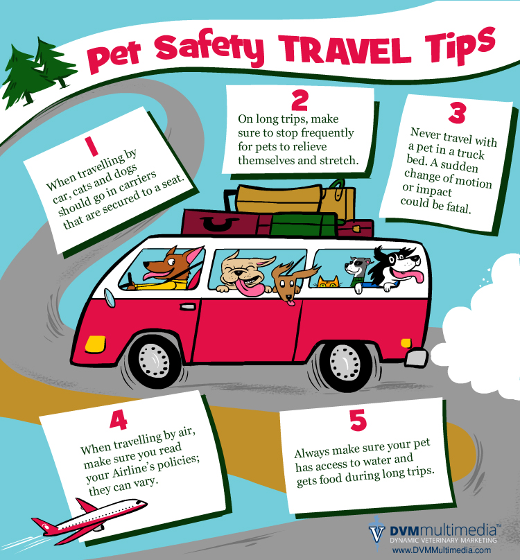 travel-safety-tips